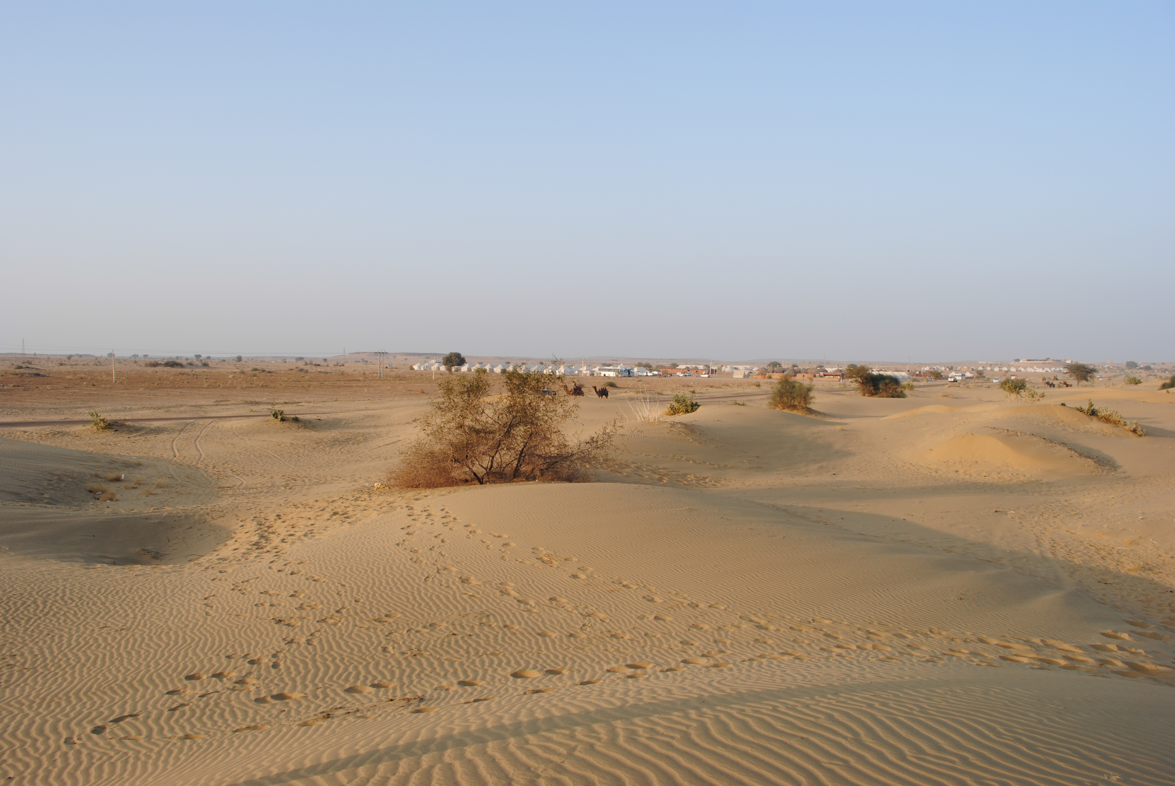 Rolling sand dunes in the Thar Desert near Jaisalmer at sunset
