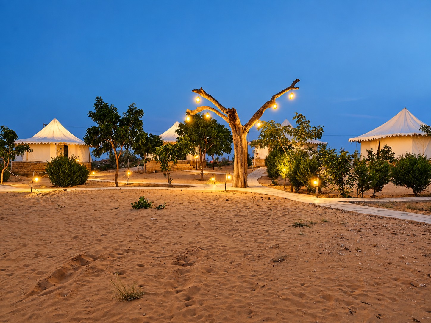 Illuminated luxury desert camp at twilight with sculpted lantern tree and white Swiss tents