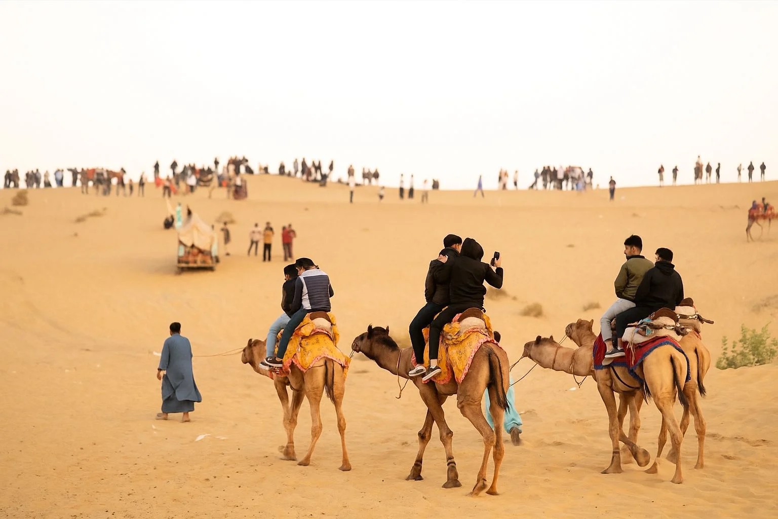 Authentic camel resting on wind-sculpted sand dunes under open desert sky at sunset